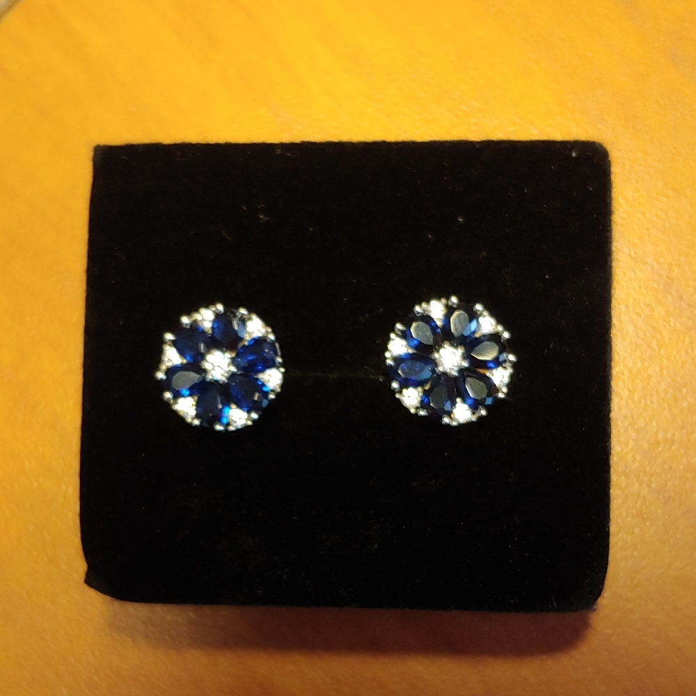 Elegant Blue and Silver Floral Earrings